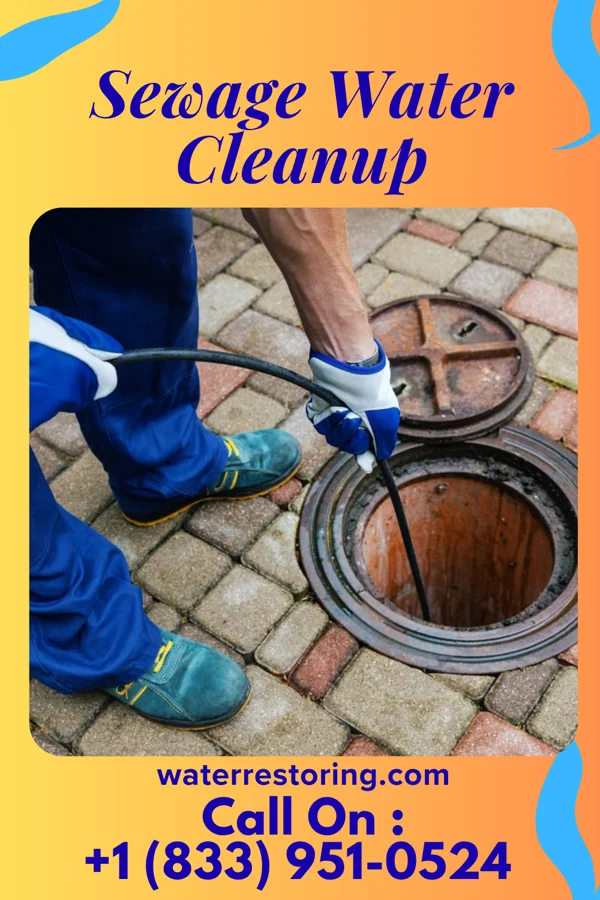 Sewage Water Cleanup in High Bridge, KY